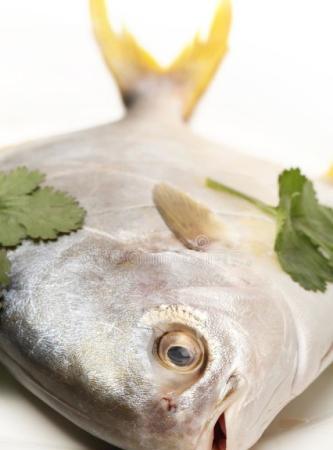 黃豆醬燒白鯧成品