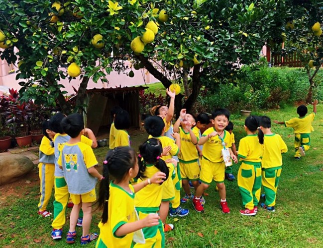 台灣休閒農場親子旅遊推薦：千郁農場必玩體驗攻略