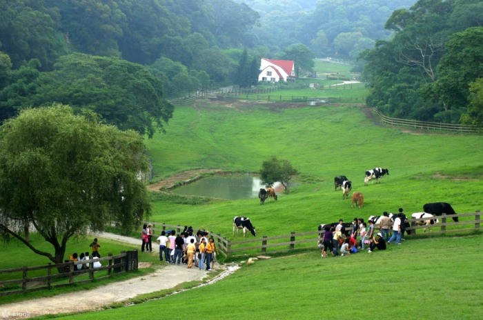 苗栗五星級飯店周邊旅遊景點推薦